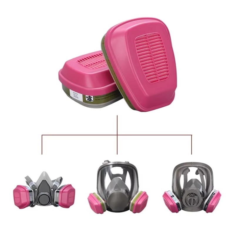 P100 Protected Multi-Gas/Vapor - Face Mask Storage Box 评论和价格
